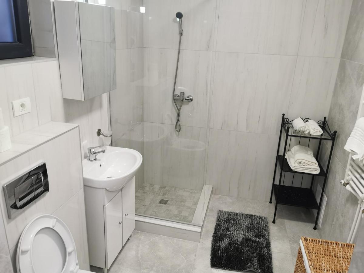 Jolie Luxury Apartments II Тімішоара Екстер'єр фото