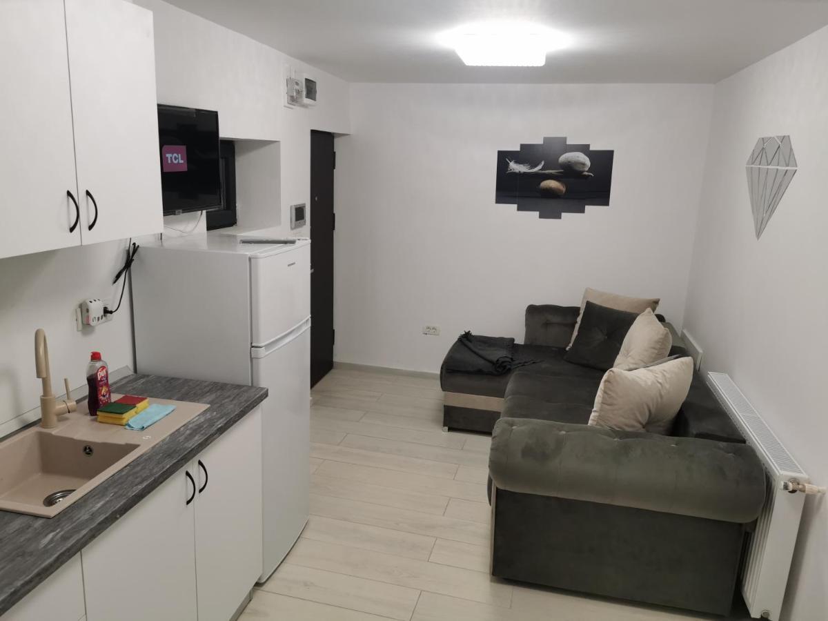Jolie Luxury Apartments II Тімішоара Екстер'єр фото